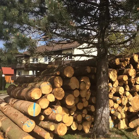 Harzblick 1 Apartment *