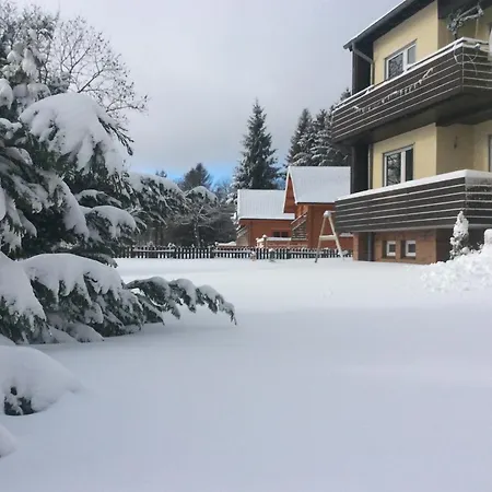 Harzblick 1 Apartment