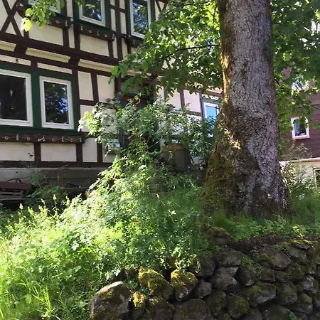 Harzblick 1 Apartment