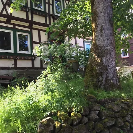 Blockhaeuserfewo1 Harzblick Apartment